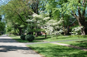 St Matthews in the Spring